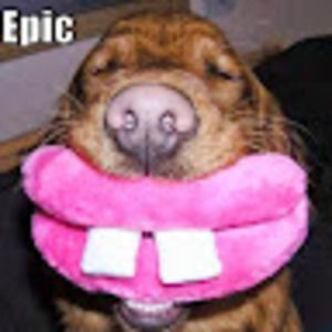 Meet your Posher, Raymond